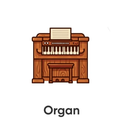 Organ