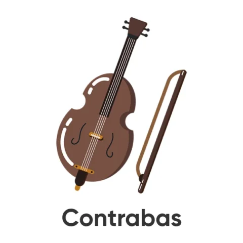 Contrabas